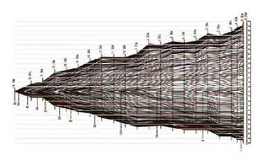樹幹解析（年輪）-写真イメージ